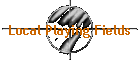 Local Playing Fields